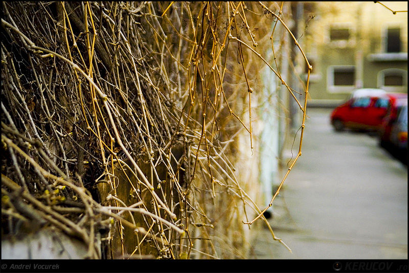 andrei_vocurek_kerucov_orasul_ro_buzesti_grivitei_19