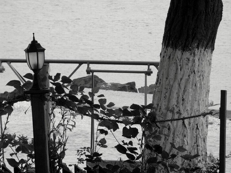 1003821_620781207939934_1785738747_n