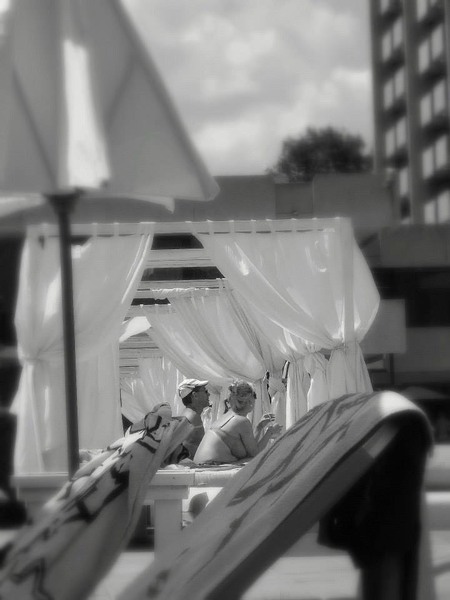 1010287_620781101273278_274387611_n