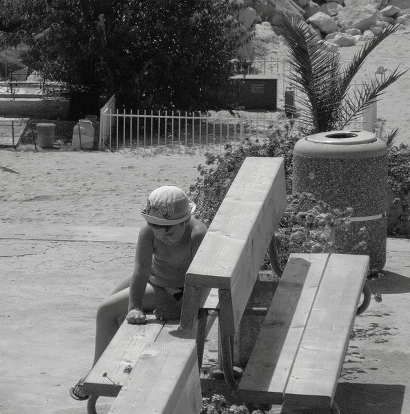 1070035_620780967939958_1685520210_n