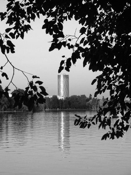 1241016_652314711453250_1173247450_n