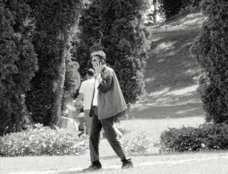 995426_620780864606635_821201369_n