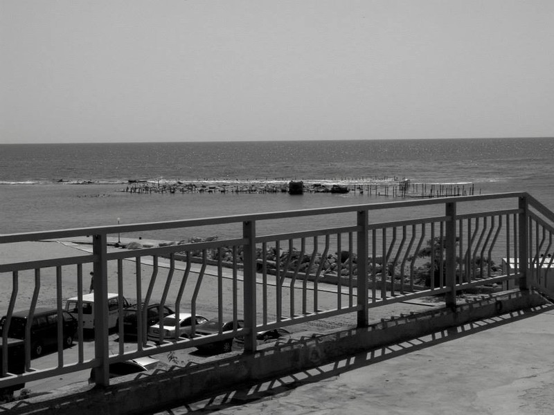 996511_620780981273290_1874274927_n