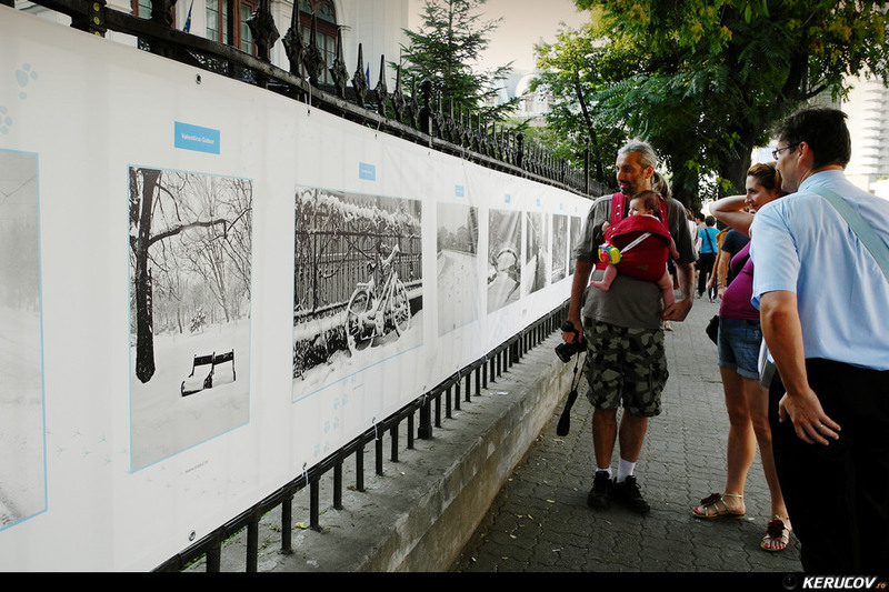 kerucov_2013_vernisaj_ger_in_arsita_verii_orasul_ro_02