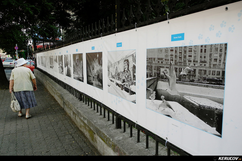 kerucov_2013_vernisaj_ger_in_arsita_verii_orasul_ro_03