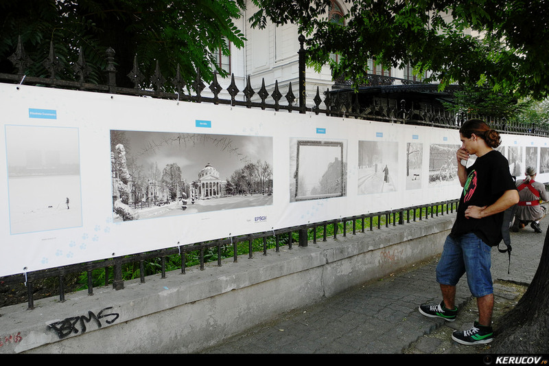 kerucov_2013_vernisaj_ger_in_arsita_verii_orasul_ro_06