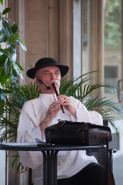 grigore_lese_cb-1-13