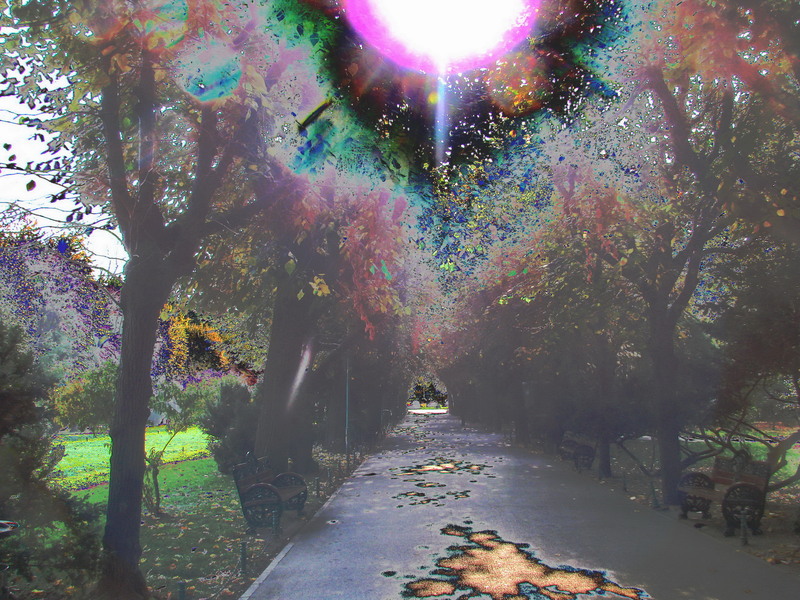 dsc01623_alee-din-cismigiu