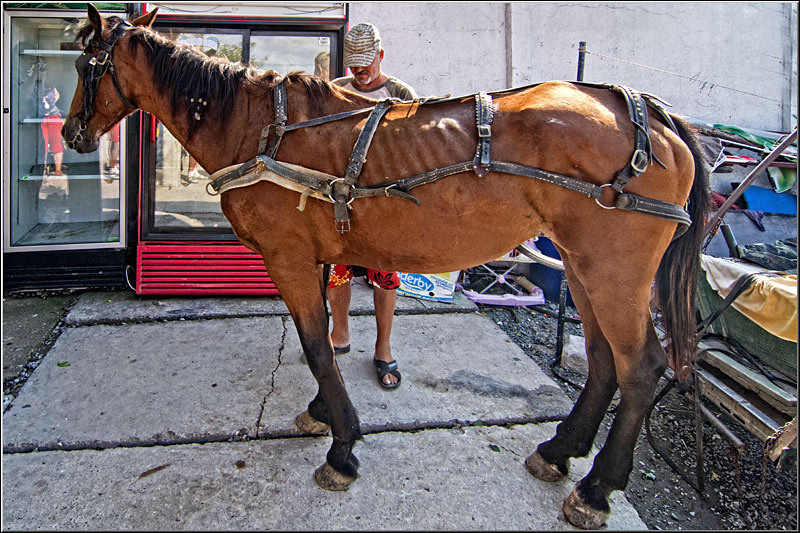 serbanvornicu_sprechitila_01