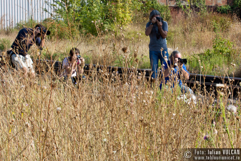 chitila_foto-by-iulian-vulcan-p02