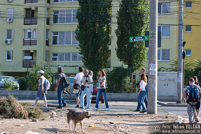 chitila_foto-by-iulian-vulcan-p08