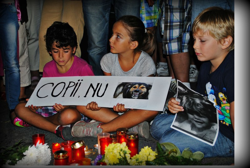 befunky_picture-466jpg