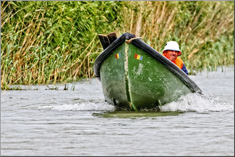 serbanvornicu_delta2013_09