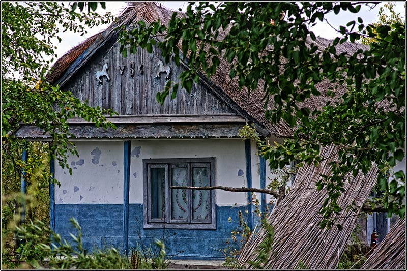 serbanvornicu_delta2013_14