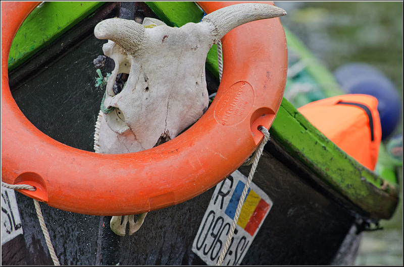 serbanvornicu_delta2013_24