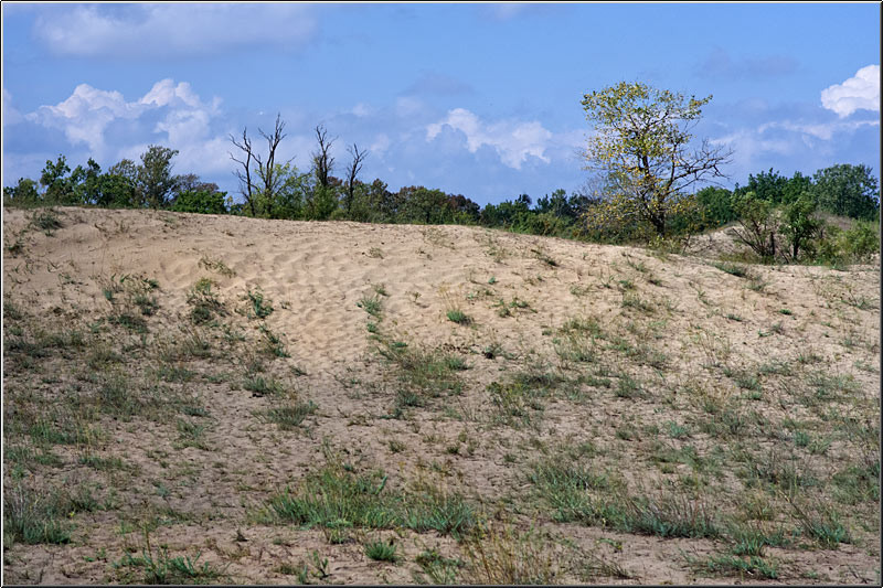 serbanvornicu_delta2013_29