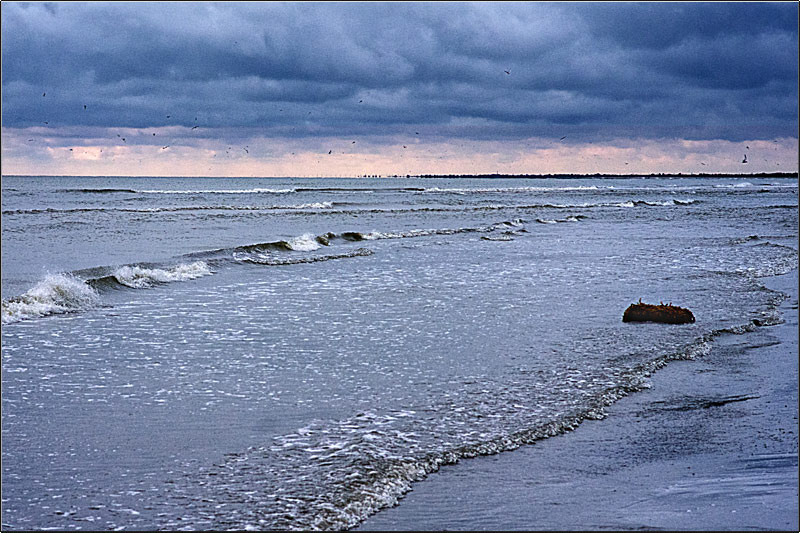 serbanvornicu_delta2013_52