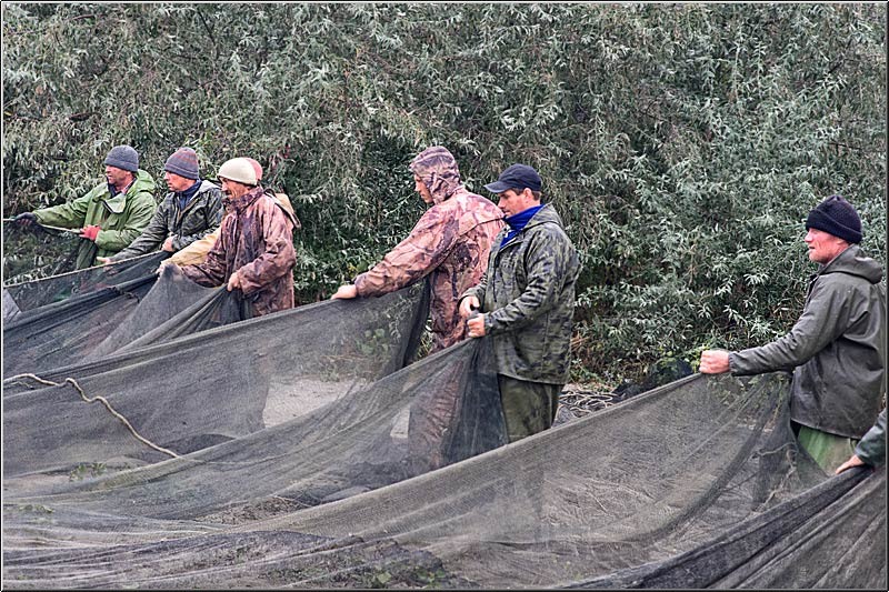 serbanvornicu_delta2013_56