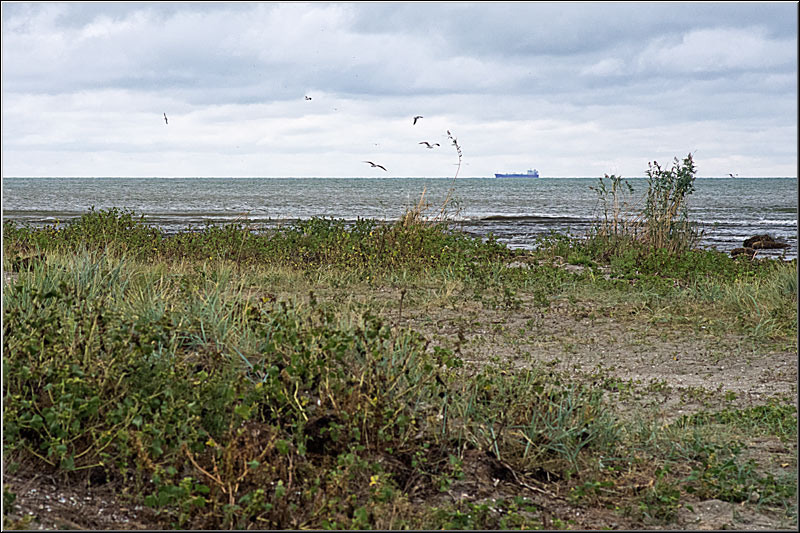 serbanvornicu_delta2013_57