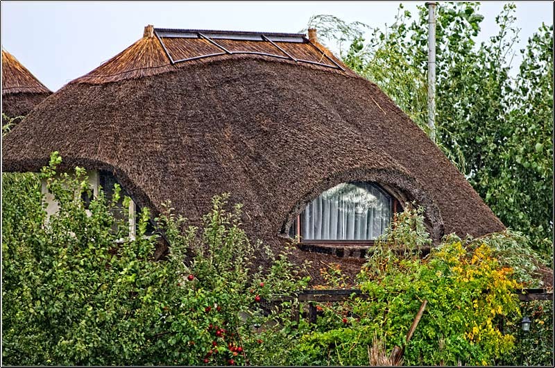 serbanvornicu_delta2013_68