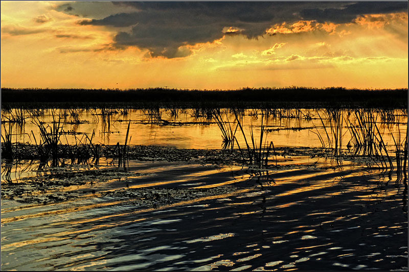 serbanvornicu_delta2013_74