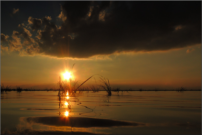 serbanvornicu_delta2013_77