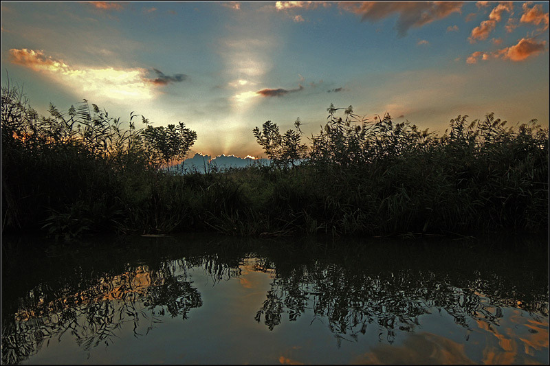 serbanvornicu_delta2013_78