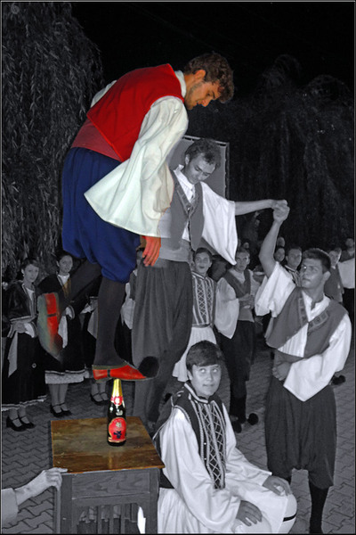 serbanvornicu_delta2013_79