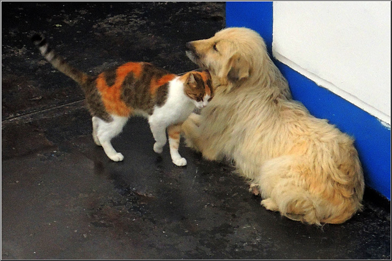 serbanvornicu_delta2013_80