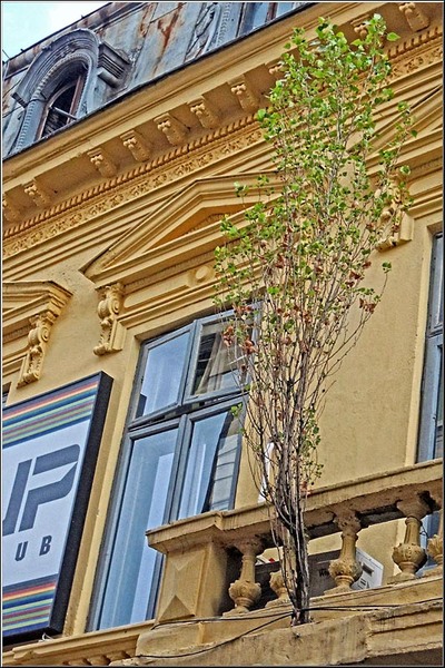 serbanvornicu_lamultianib_05