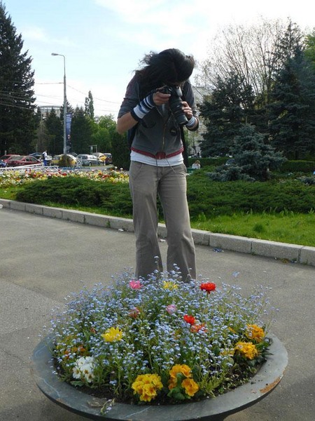 flower-between-flowers