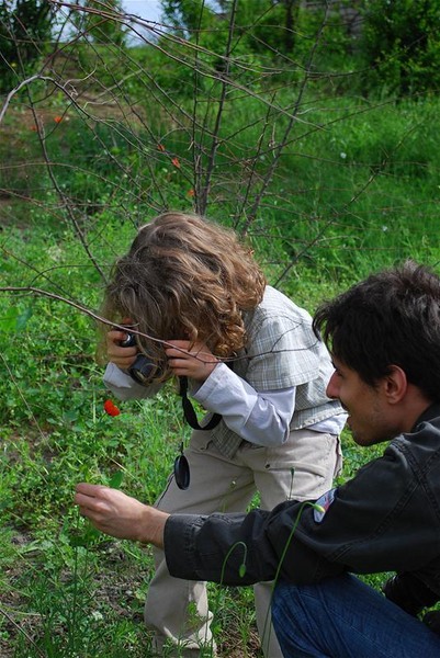 flower-fascination-part1