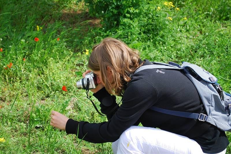 flower-fascination-part2