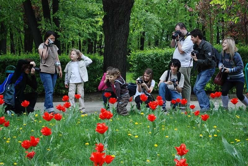 the-wonder-kid-part-1