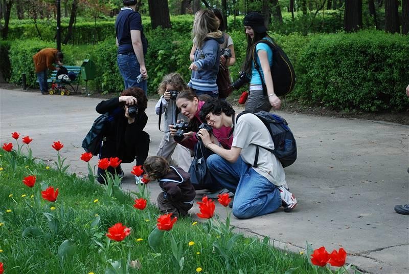 the-wonder-kid-part-2