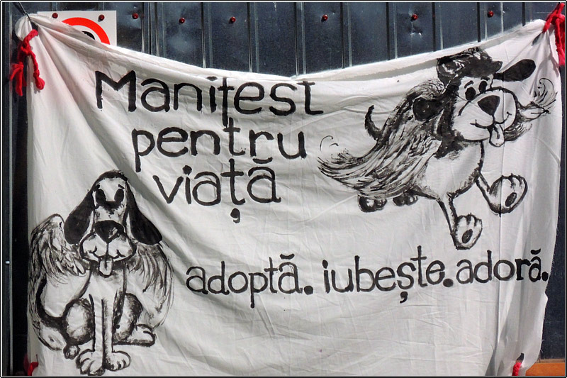 serbanvornicu_matasari_04