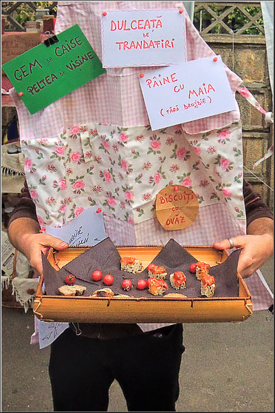 serbanvornicu_matasari_15