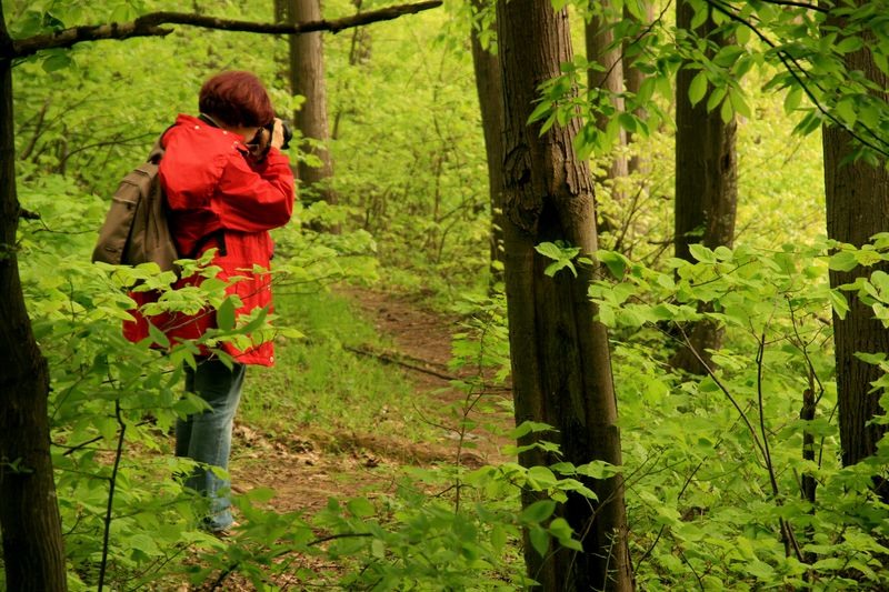 20100424_portret-de-bujie_20