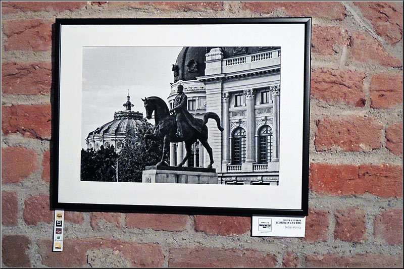 serbanvornicu_binan_01