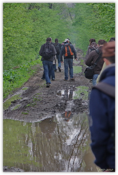 pe mijlocul ...drumului