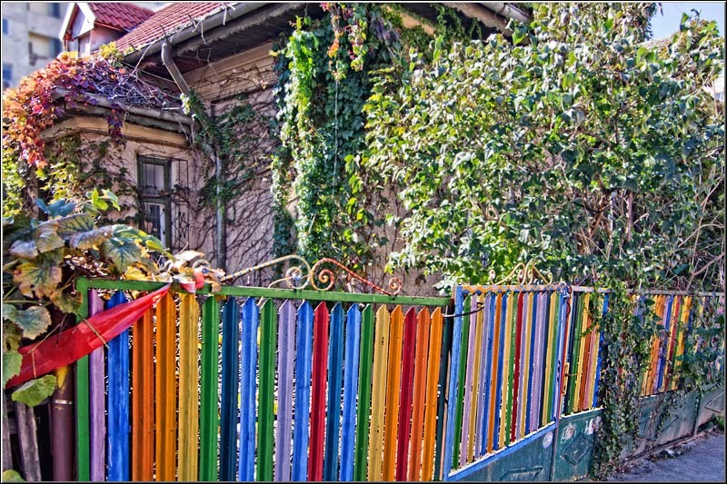 serbanvornicu_wpc_05