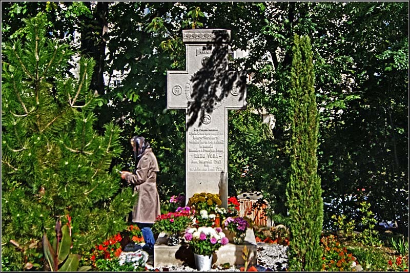 serbanvornicu_wpc_14