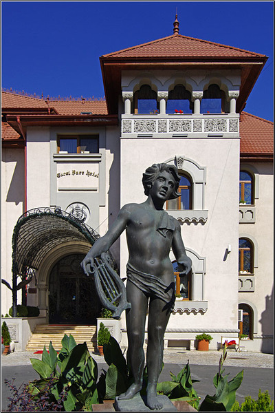 serbanvornicu_wpc_29