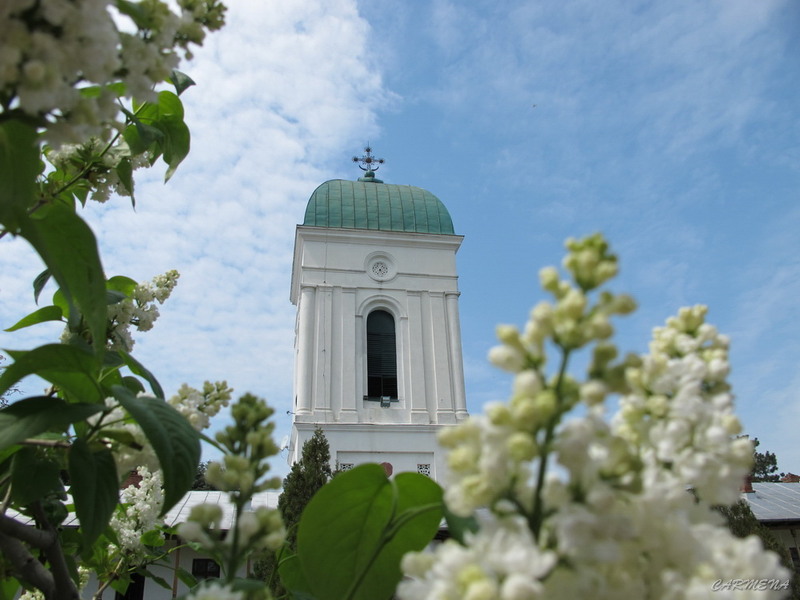 Intrare manastirea Cernica