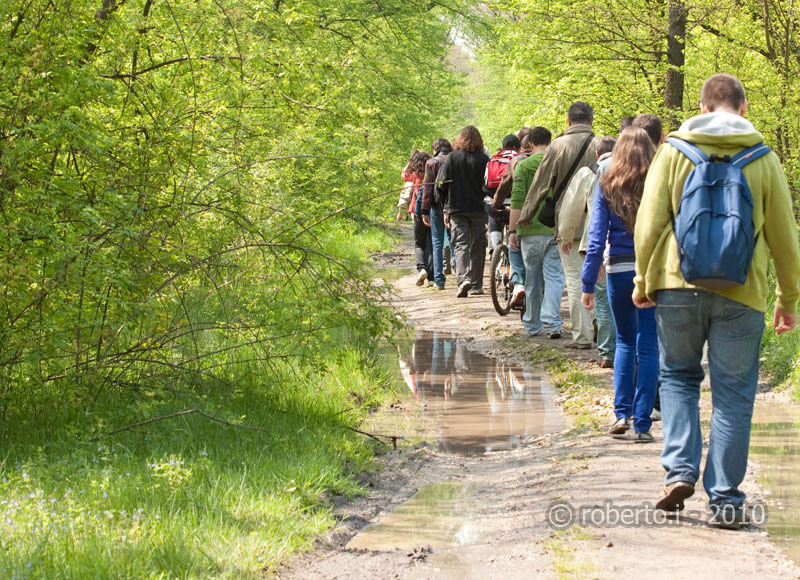 robertoi_cernica_apr2010_01