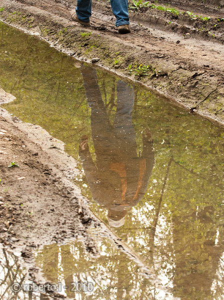 robertoi_cernica_apr2010_02