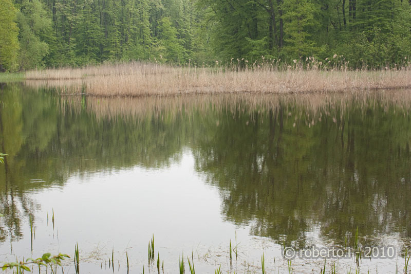 robertoi_cernica_apr2010_17