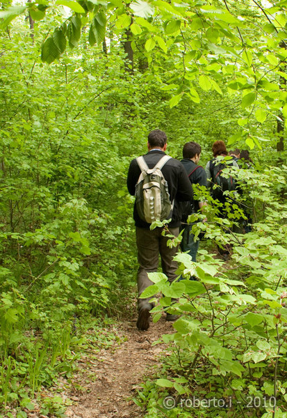 robertoi_cernica_apr2010_19