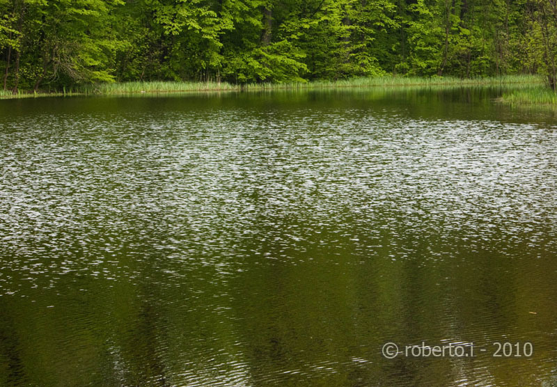 robertoi_cernica_apr2010_21