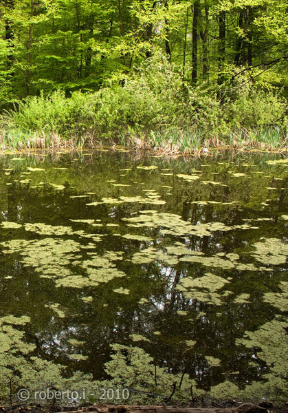 robertoi_cernica_apr2010_23